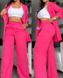 Women Elegant Solid Slit Sleeve Turndown Collar Blazer and Straight Pants Two-piece Set