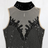 Women Round Neck Sleeveless See-Through Sequined Bodycon Sexy Dress