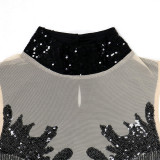 Women Round Neck Sleeveless See-Through Sequined Bodycon Sexy Dress