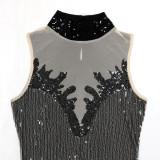Women Round Neck Sleeveless See-Through Sequined Bodycon Sexy Dress