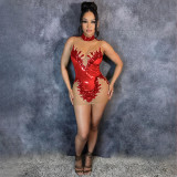 Women Round Neck Sleeveless See-Through Sequined Bodycon Sexy Dress