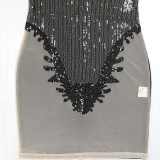 Women Round Neck Sleeveless See-Through Sequined Bodycon Sexy Dress