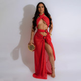 Sexy Halter Neck Mesh Slim High Slit Fashion Solid Color Long Dress