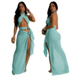 Sexy Halter Neck Mesh Slim High Slit Fashion Solid Color Long Dress
