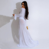 Solid Color See-Through Off Shoulder Long-Sleeved Sexy Long Dress