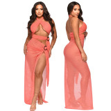 Sexy Halter Neck Mesh Slim High Slit Fashion Solid Color Long Dress