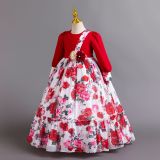 Children's Princess Dress Floral Chiffon Dress