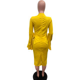 Women Solid Pleated Swing Sleeve V-Neck Dress