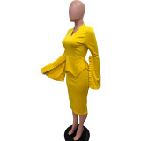 Women Solid Pleated Swing Sleeve V-Neck Dress