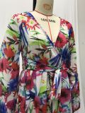 Summer Lantern Sleeve Sexy Deep V Neck Leaf Print Long Dress