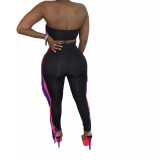 Women's Fashion Sexy Gradient Tassel Strapless Two-Piece Pants Set