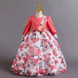 Children's Princess Dress Floral Chiffon Dress