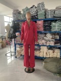 Women Elegant Solid Slit Sleeve Turndown Collar Blazer and Straight Pants Two-piece Set