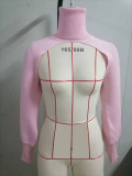 Women Lantern Sleeve High Neck Sweater