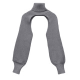 Women Lantern Sleeve High Neck Sweater