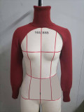 Women Lantern Sleeve High Neck Sweater