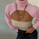 Women Lantern Sleeve High Neck Sweater