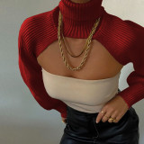 Women Lantern Sleeve High Neck Sweater