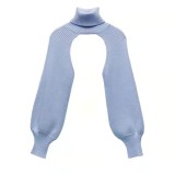 Women Lantern Sleeve High Neck Sweater