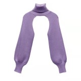 Women Lantern Sleeve High Neck Sweater