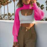 Women Lantern Sleeve High Neck Sweater