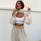Women Lantern Sleeve High Neck Sweater