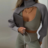 Women Lantern Sleeve High Neck Sweater