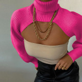 Women Lantern Sleeve High Neck Sweater