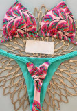 Printed Braided Two Pieces Swimsuit Sexy Triangle Thong Bikini Set