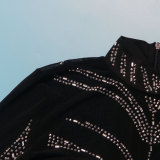 Sexy See-Through Beaded Mesh long sleeve Bodycon club dress
