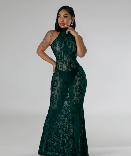 Sexy Fashion Halter Neck See Through Lace Low Back Slim Nightclub Long Dress
