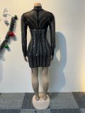 Sexy See-Through Beaded Mesh long sleeve Bodycon club dress