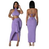 Fashion casual summer solid color sleeveless halter backless two piece skirt set