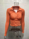 Women Sexy Pleated Turndown Collar Long Sleeve Shirt