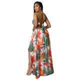 Women's Floral Printed Halter Blackless Slit Maxi Dress