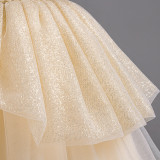Puffy Tulle Princess Dress Trendy Flower Girl Dress