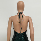 Women sleeveless French split sequin party Evening Dress