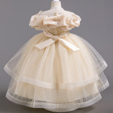 Girls' Dresses For Middle And Large Children's Puffy Mesh Princess Dress Trendy Evening Dress