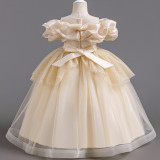 Puffy Tulle Princess Dress Trendy Flower Girl Dress