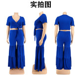 Plus size Women summer top and wide-leg pants two-piece