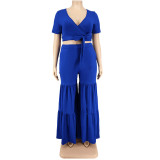Plus size Women summer top and wide-leg pants two-piece
