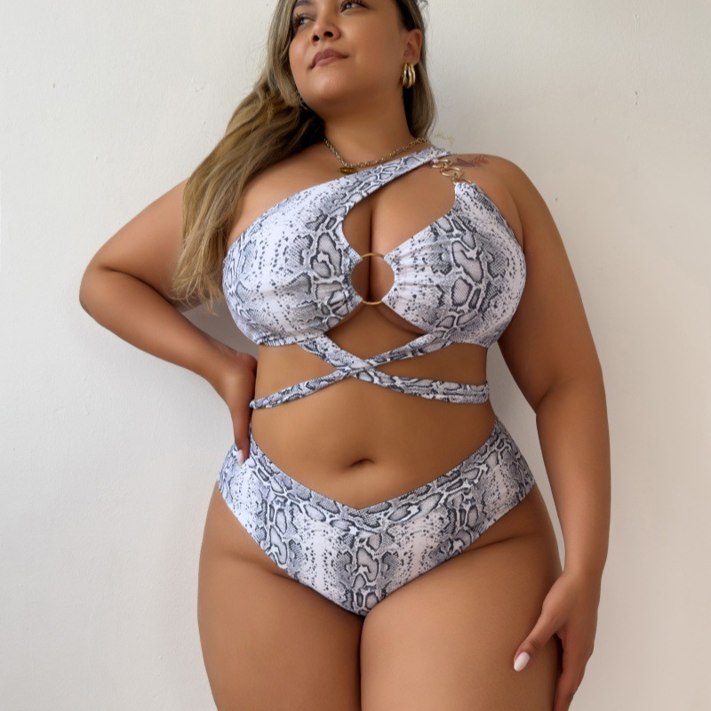 Plus Size Snake Print Two-Piece Bikini Swimsuit