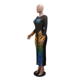 Women Fashion Round Neck See-Through Print Mesh Dress