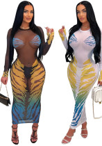 Women Fashion Round Neck See-Through Print Mesh Dress