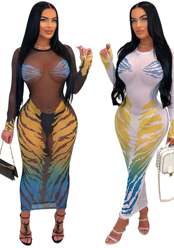 Women Fashion Round Neck See-Through Print Mesh Dress