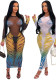 Women Fashion Round Neck See-Through Print Mesh Dress