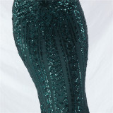 Luxury Sequins Plus Size Formal Party Evening Dress