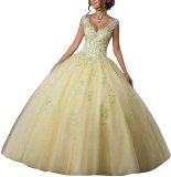 Bride Princess Fantasy Chic V-Neck Puffy Wedding Dress（Processing time need 3-6 days）