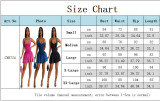 Women Suspender Pleated Dress
