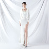 Women ostrich feather long-sleeved sequined evening dress